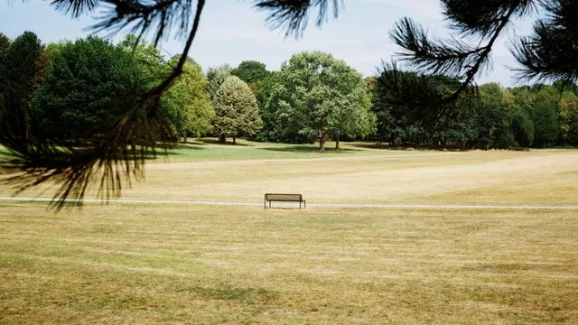 A single empty bench on a parched, yellowed park lawn, with trees behind.