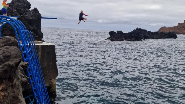 A person leaps from a harbour wall into the sea beside a blue ladder, with dark rocks offshore.